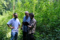 Drei Männer im Wald schauen auf ein Tablet