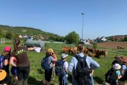 Schulklasse beobachtet Kühe auf der Weide