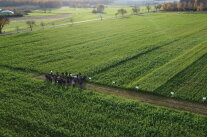 Personengruppe auf einem Feld